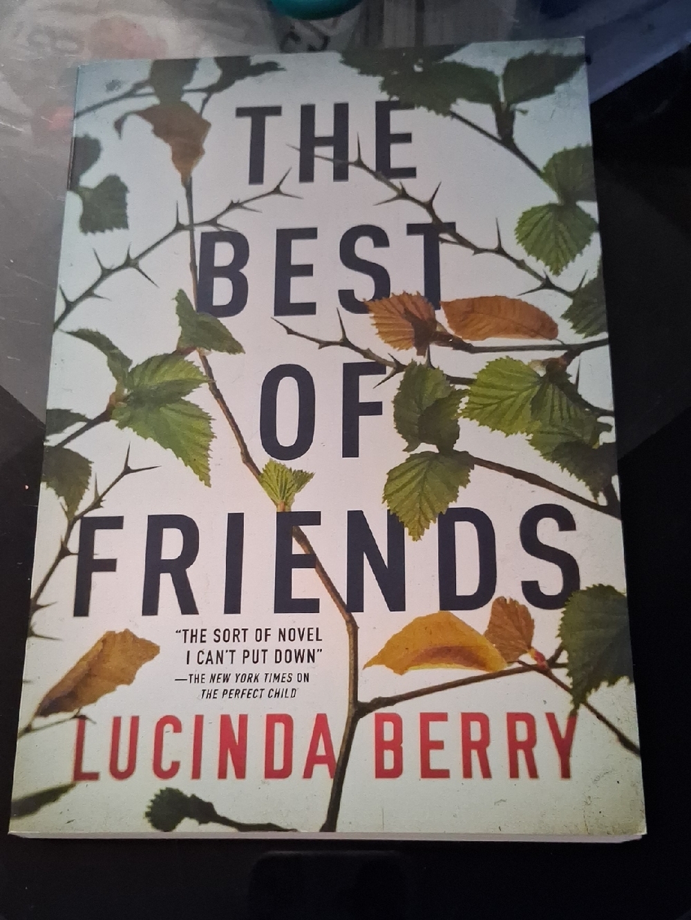 "The Best of Friends" Decorative Book Cover - White/Green Lucinda Berry